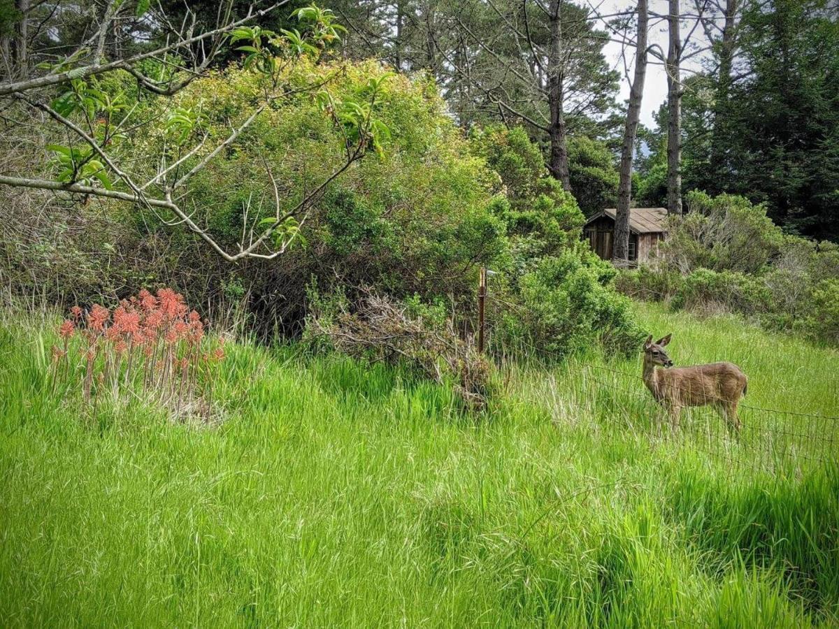 The Quail'S Nest Retreat Βίλα Point Reyes Station Εξωτερικό φωτογραφία